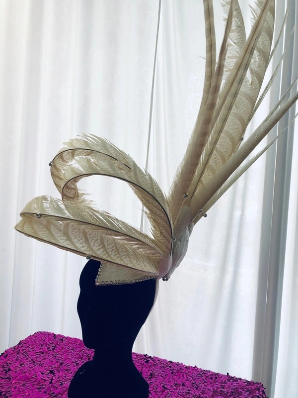 Casque Modiste En Faisans 3 Casque Modiste En Faisans