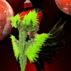 Ensemble En Plumes De Coq