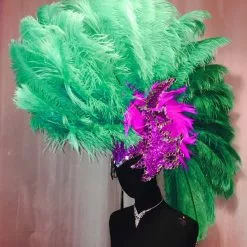 Crête En Plumes D'autruche