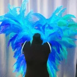 Ailes Bicolores Démontables