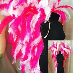 Ailes En Plumes De Floss Autruche