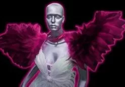 Armature épaulettes En Plumes D'oie