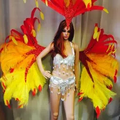 Dos De Plumes Et Casque