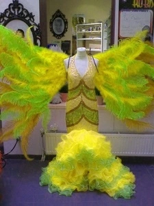 Dos De Plumes En Floss Autruche