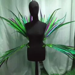 Armature De Hanches En Faisan