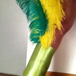 Jambières Brésiliennes Avec Plumes ( La Paire)