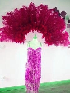 Demie Roue Haute En Autruche