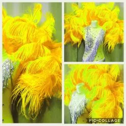 Demie Roue En Plumes D'autruche Torsadées