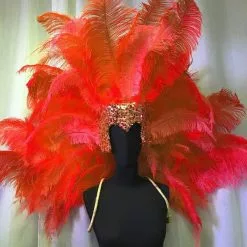 Ensemble Dos De Plumes + Casque