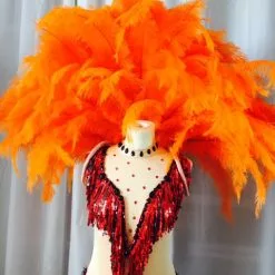 Demie Roue En Floss D'autruche