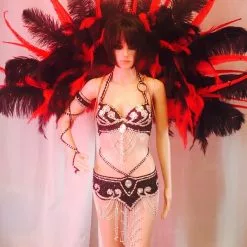 Demie Roue En Autruche Et Faisan