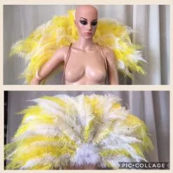 Demie Roue En Plumes De Floss