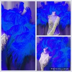 Demie Roue En Plumes D'autruche Torsadées