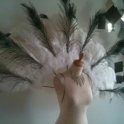 Demie Roue En Autruche Et Paon