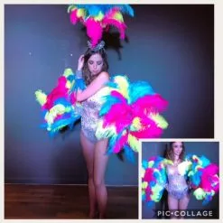 Armature De Hanches Autruche Et Blondine