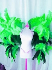 Armature Brésilienne Hanches Et épaules