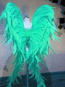 Ailes En Plumes De Coq