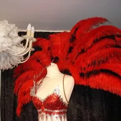 Demie Roue En Plumes D'autruche,