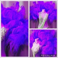 Demie Roue En Plumes D'autruche Torsadées