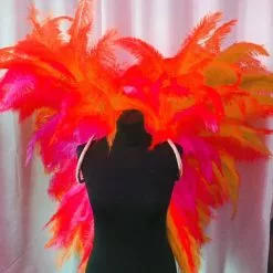 Ailes En Plumes De Floss