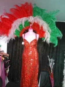 Demie Roue En Autruche Et Floss