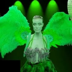 Dos En Plumes D'autruche Et Oie