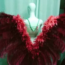 Dos En Plumes D'autruche